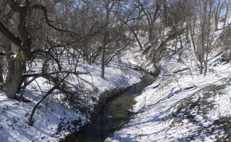 Beaver Creek Image