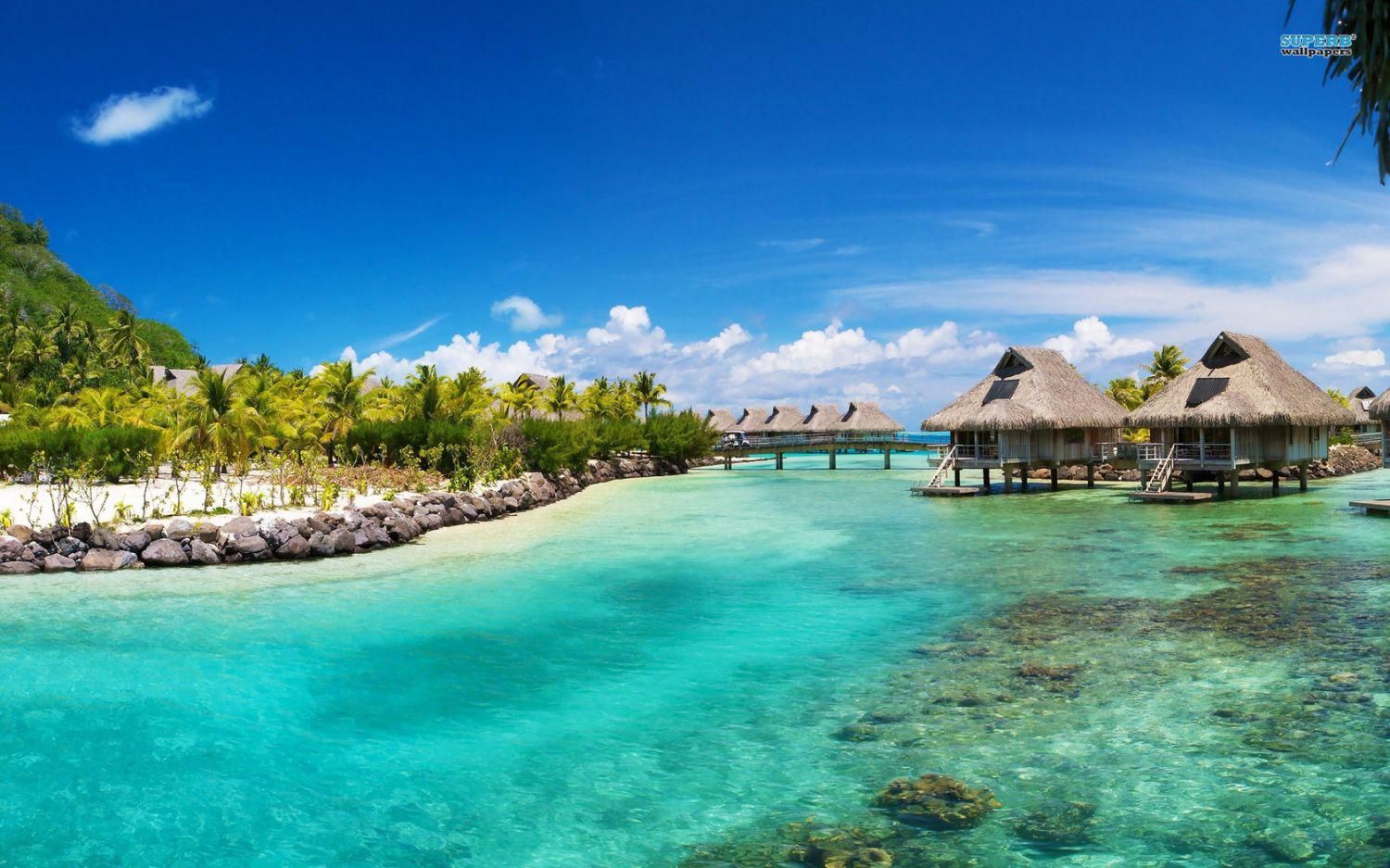 Gay Bora Bora Travel Guide Hotels Bars Events