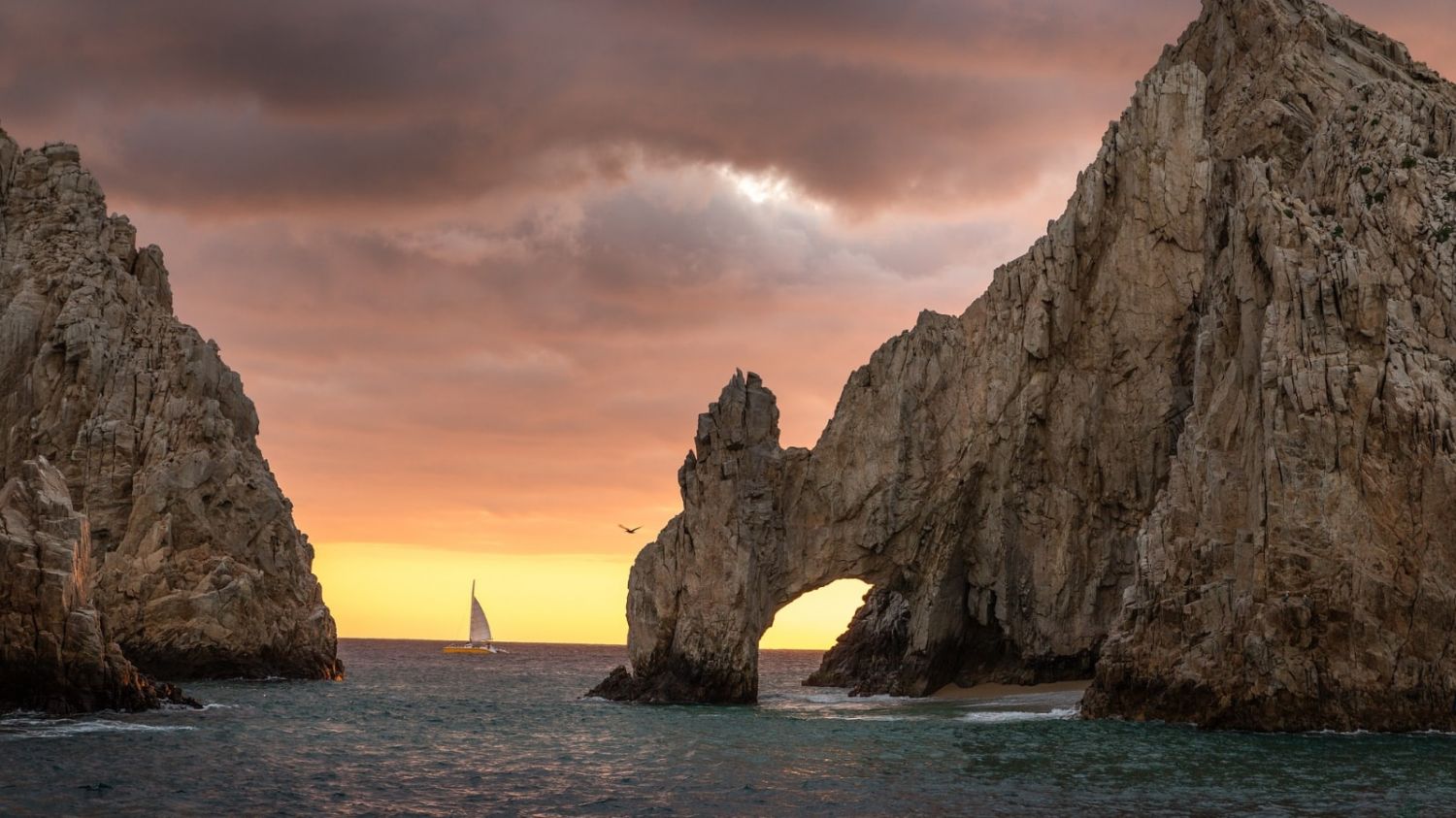 Gay Cabo San Lucas 2024 Travel Guide - Hotels, Bars, & Events