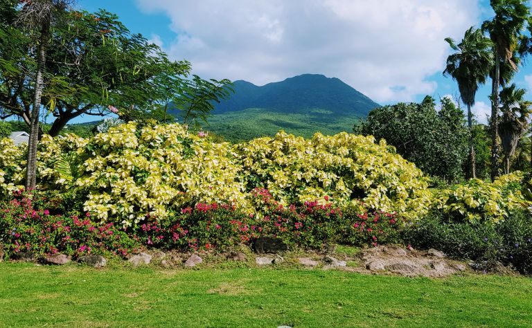 St. Kitts & Nevis Main Image