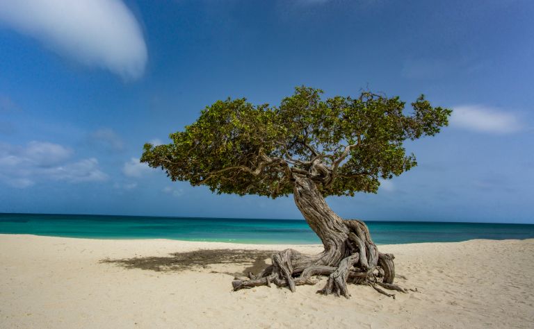 Aruba Main Image