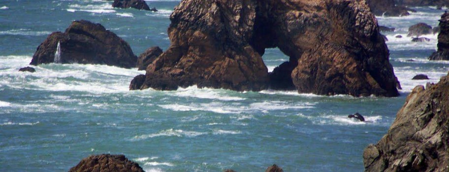 Bodega Bay Image