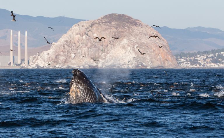 Morro Bay Main Image