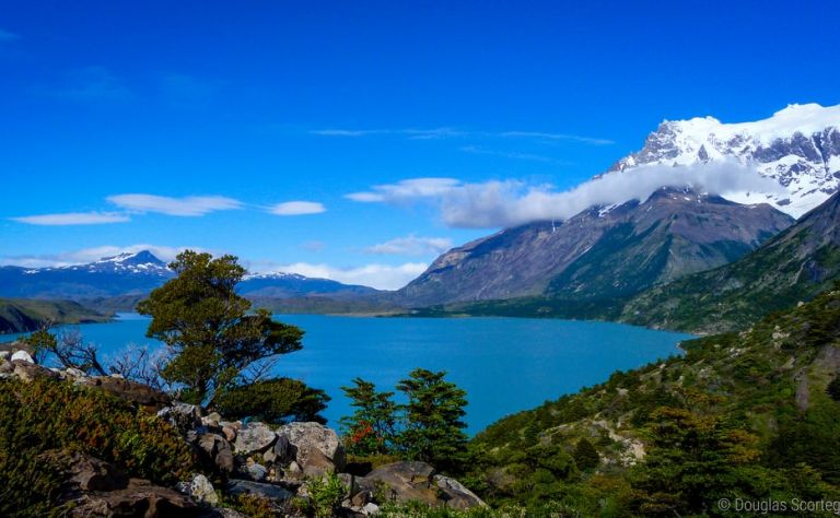 Torres del Paine Main Image